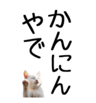 老眼でも見える【関西弁】にやんこ 3（個別スタンプ：38）