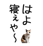 老眼でも見える【関西弁】にやんこ 3（個別スタンプ：39）