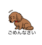 名前入りダックスレッディッシュイエロー（個別スタンプ：2）