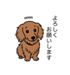 名前入りダックスレッディッシュイエロー（個別スタンプ：4）