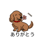 名前入りダックスレッディッシュイエロー（個別スタンプ：5）