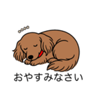 名前入りダックスレッディッシュイエロー（個別スタンプ：9）