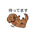 名前入りダックスレッディッシュイエロー（個別スタンプ：10）