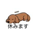 名前入りダックスレッディッシュイエロー（個別スタンプ：16）