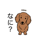名前入りダックスレッディッシュイエロー（個別スタンプ：22）