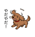 名前入りダックスレッディッシュイエロー（個別スタンプ：23）