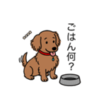 名前入りダックスレッディッシュイエロー（個別スタンプ：24）