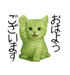 推し猫【緑】,,,,（個別スタンプ：5）