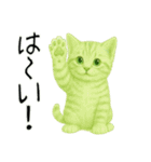 推し猫【緑】,,,,（個別スタンプ：11）