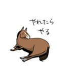 多忙な馬（個別スタンプ：8）