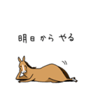 多忙な馬（個別スタンプ：40）
