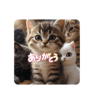 猫ちゃん スタンプ あいさつ（個別スタンプ：1）