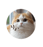 猫ちゃん スタンプ あいさつ（個別スタンプ：3）