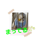 雅のスタンプ1（個別スタンプ：3）