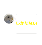 雅のスタンプ1（個別スタンプ：5）