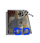 雅のスタンプ1（個別スタンプ：7）