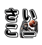 ゴリラ×バスケットボール 第19弾 デカ文字（個別スタンプ：12）