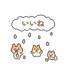 かのきの生きもの(カラフル文字)（個別スタンプ：14）