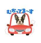 『フレンチブルドッグ』のスタンプ②（個別スタンプ：13）