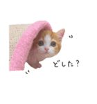 ちっちです◎（個別スタンプ：2）
