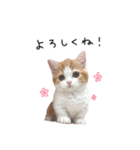 ちっちです◎（個別スタンプ：5）