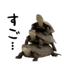 クサガメ参上！（個別スタンプ：26）