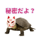 クサガメ参上！（個別スタンプ：31）