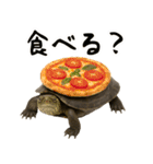 クサガメ参上！（個別スタンプ：33）