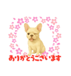『フレンチブルドッグ』のスタンプ③（個別スタンプ：1）