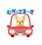『フレンチブルドッグ』のスタンプ③（個別スタンプ：15）