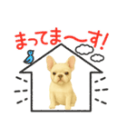 『フレンチブルドッグ』のスタンプ③（個別スタンプ：16）