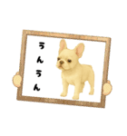 『フレンチブルドッグ』のスタンプ③（個別スタンプ：18）
