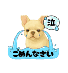 『フレンチブルドッグ』のスタンプ③（個別スタンプ：23）