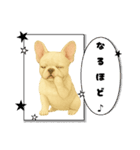『フレンチブルドッグ』のスタンプ③（個別スタンプ：28）