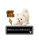 もふもふクエスト（犬たちの冒険）（個別スタンプ：1）