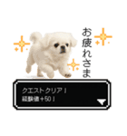 もふもふクエスト（犬たちの冒険）（個別スタンプ：2）