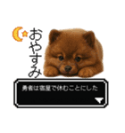 もふもふクエスト（犬たちの冒険）（個別スタンプ：5）