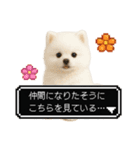 もふもふクエスト（犬たちの冒険）（個別スタンプ：8）