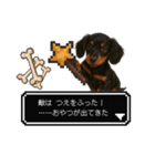 もふもふクエスト（犬たちの冒険）（個別スタンプ：13）
