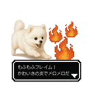 もふもふクエスト（犬たちの冒険）（個別スタンプ：14）