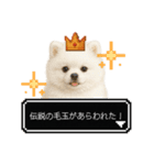 もふもふクエスト（犬たちの冒険）（個別スタンプ：15）
