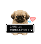 もふもふクエスト（犬たちの冒険）（個別スタンプ：16）