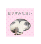 オサマの⭐︎フレンズ2（個別スタンプ：32）