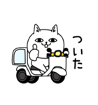 じろりねこ挨拶友達に送る専用（個別スタンプ：6）
