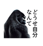 【ネガティブ】イケメンゴリラ（個別スタンプ：12）