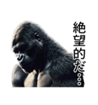 【ネガティブ】イケメンゴリラ（個別スタンプ：20）