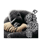 【ネガティブ】イケメンゴリラ（個別スタンプ：27）