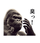 【ネガティブ】イケメンゴリラ（個別スタンプ：36）