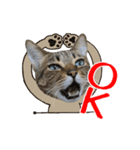 動く猫のすたんぷ。。。2（個別スタンプ：2）