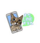 動く猫のすたんぷ。。。2（個別スタンプ：23）